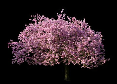 Flower Tree