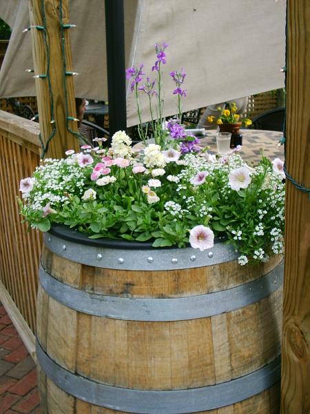 Flowers in a barrel