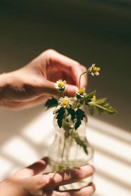 Flowers in the Jar