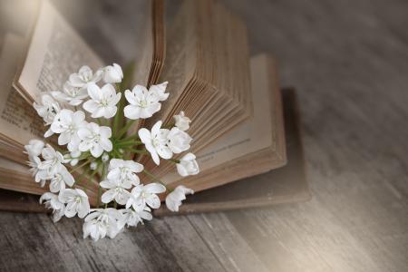 Flowers n Book