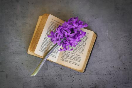 Flowers n Book