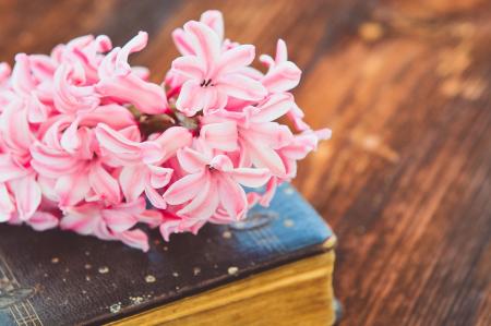 Flowers on the Book