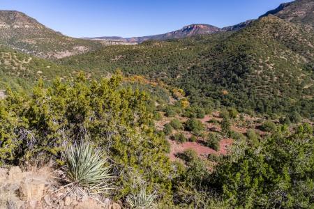 Flume Trail (November 18, 2017)