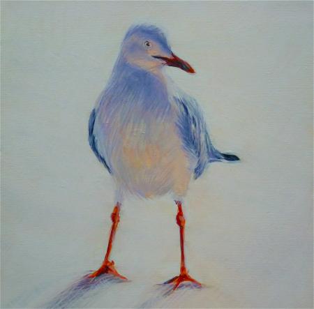 Seagull