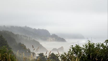 Fog along Silver Point, Oregon