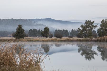 Fog at Sun River, Oregon