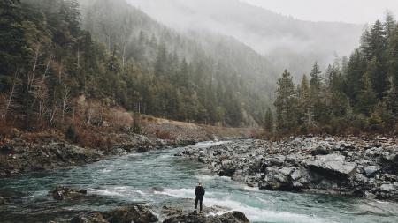 Fog on mountain