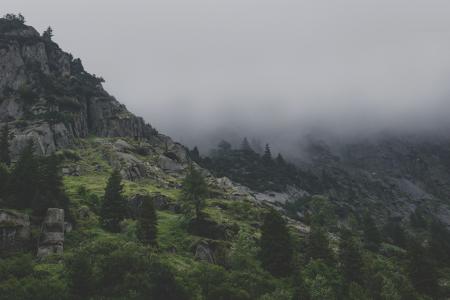 Foggy Mountains