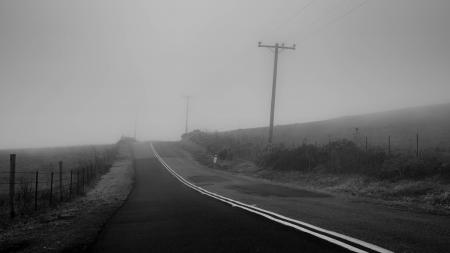 Foggy Road in West Marin