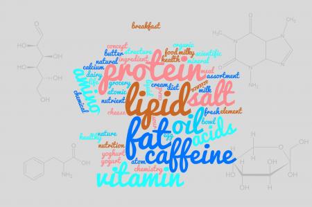 Food components word cloud