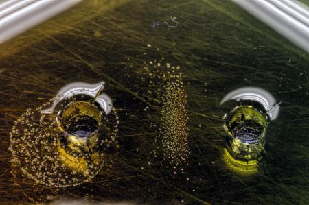 Food Safety Antigen Antibody Test