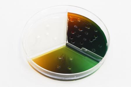 Food Safety Antigen Antibody Test