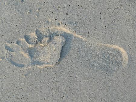 Footprint in the Sand