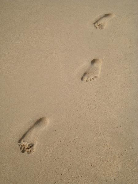 Footprints in the Sand