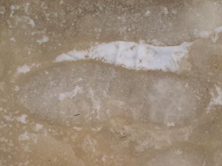 Footstep in Ice Texture