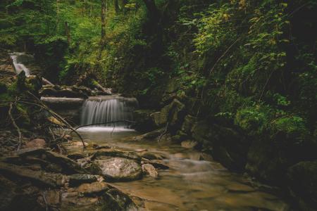 Forest and Water Falls Landscape Photo