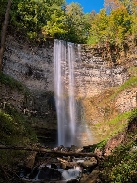 Forest With a View of Waterfalls