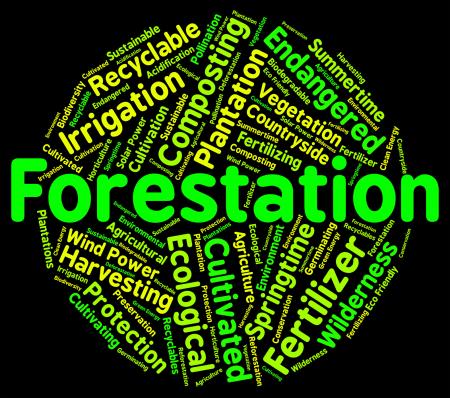 Forestation Word Shows Woodlands Woods And Trees