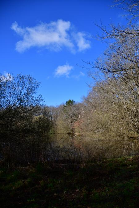 Forêt de Moulière - Le Gâchet de Villiers (voir l'itinéraire sur : http://ansozour.free.fr/Enbalade.html)