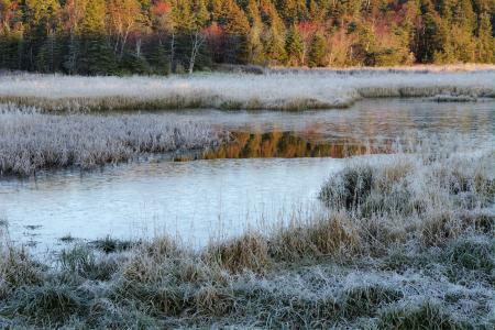 Fosrty moring at the lake