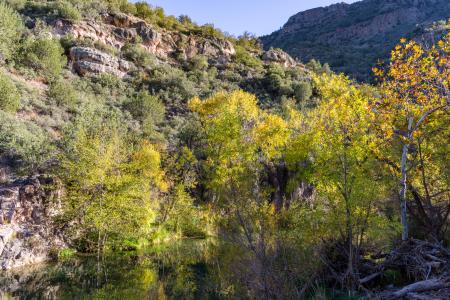 Fossil Creek Bridge (November 14, 2017)