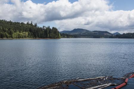 Foster Lake, Oregon, driftwood