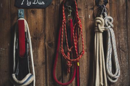 Four Ropes Hanged on Brown Board