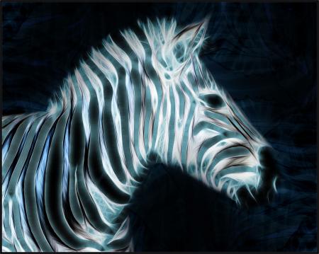 Fractal Zebra