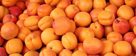 Fresh Apricots