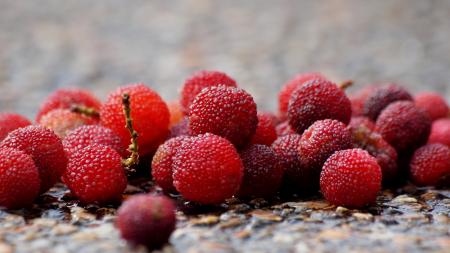 Fresh Berries