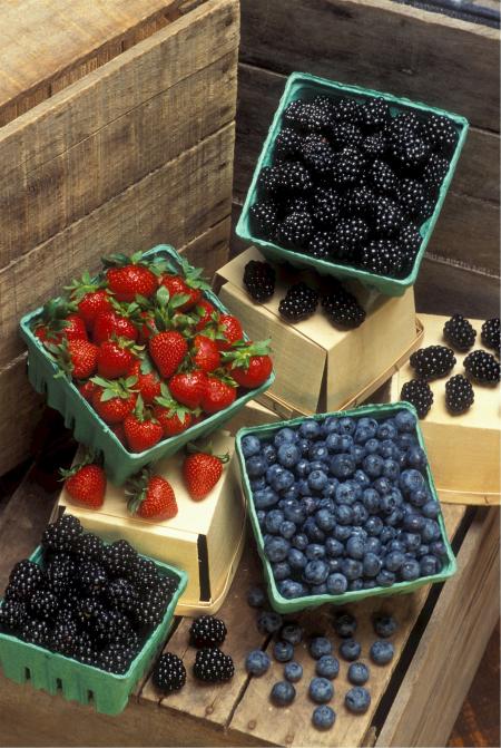 Fresh Berries