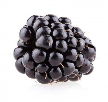 Fresh blackberry isolated on white