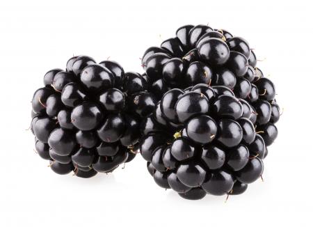 Fresh blackberry isolated on white