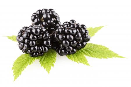 Fresh blackberry isolated on white