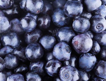 Fresh blueberries