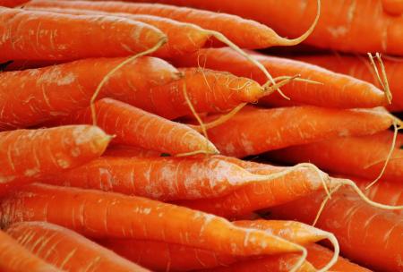 Fresh Carrots