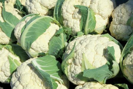 Fresh Cauliflowers