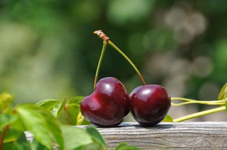 Fresh Cherries