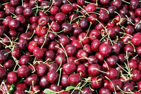 Fresh Cherries