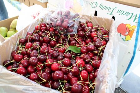 Fresh Cherries