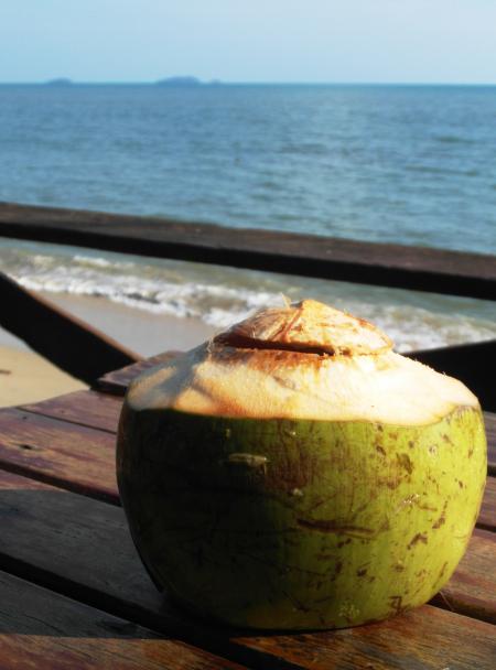 Fresh Coconut Drink by the Ocean