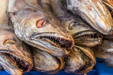 Fresh fishes in a market