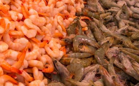 Fresh fishes in a market