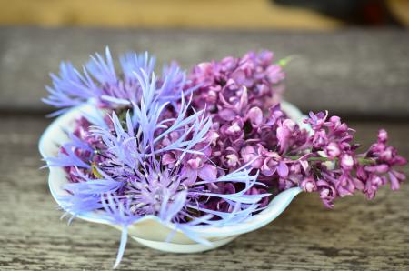 Fresh Flowers