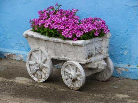 Fresh Flowers in the Garden