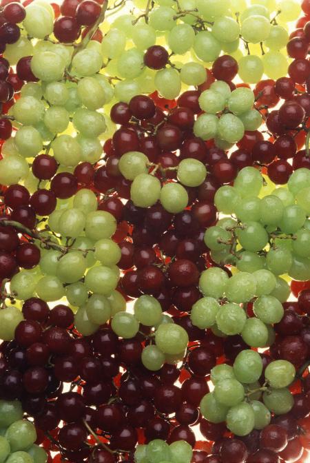 Fresh Grapes