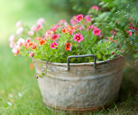 Fresh Green Flower