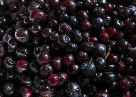 Fresh Huckleberries