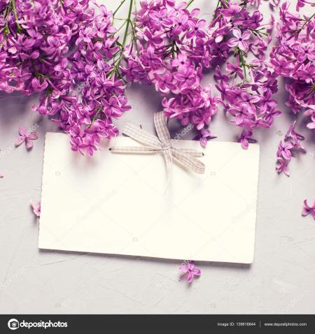 Fresh Lilac Flowers