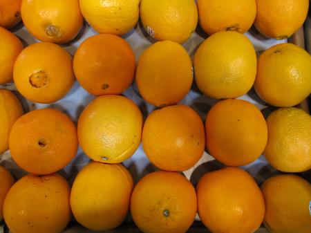 Fresh Oranges